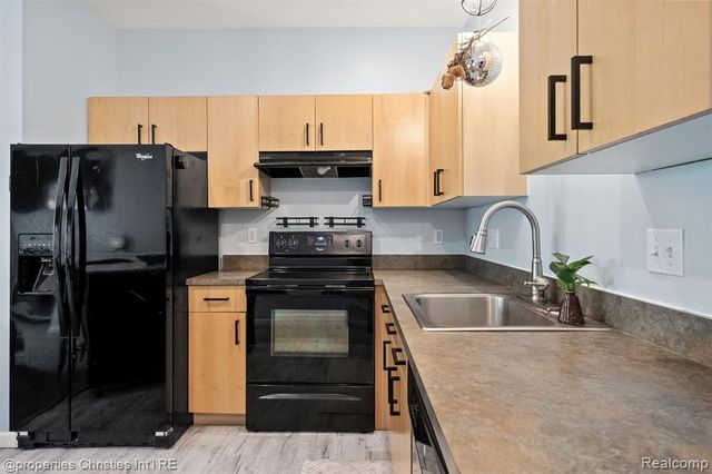 281 E Palmer Street 7, Detroit, MI 48202