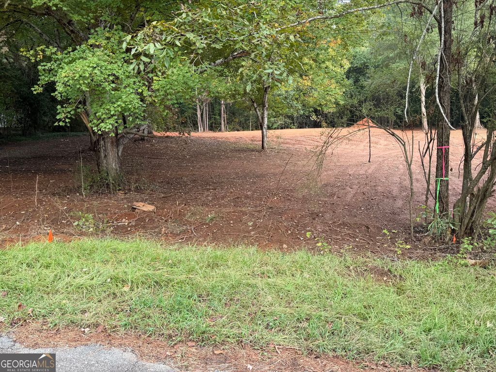 152 Winding Lane, Locust Grove, GA 30248 — exterior