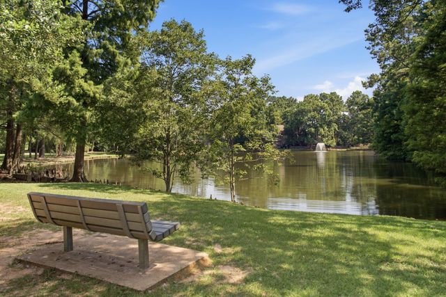 96 E Lakeridge Drive, The Woodlands, TX 77381