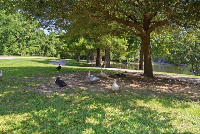 96 E Lakeridge Drive, The Woodlands, TX 77381