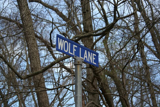 14386 Wolf Lane, New Buffalo, MI 49117