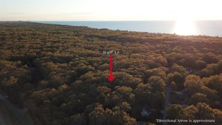 14386 Wolf Lane, New Buffalo, MI 49117