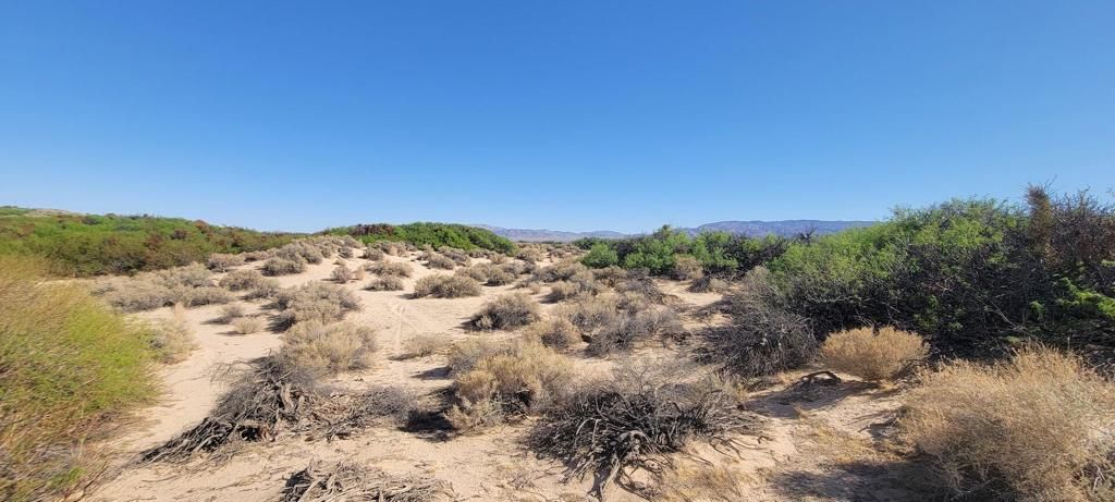 1655 La Buena Tierra Avenue, 29 Palms, CA 92277