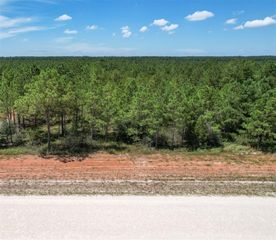 16029 Ridge Oak Road, Willis, TX 77378