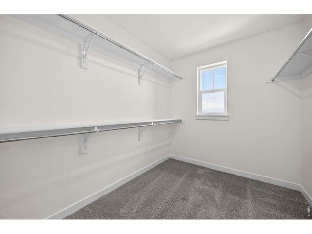 1596 Peach Ave, Erie, CO 80516