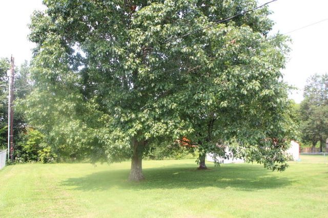 1037 David Drive, Lawrenceburg, KY 40342