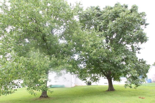 1037 David Drive, Lawrenceburg, KY 40342