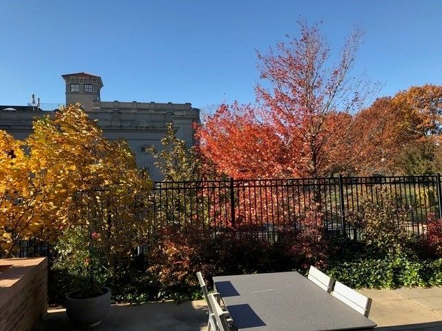 2400 Beacon 102, Boston, MA 02467