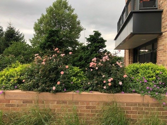 2400 Beacon 102, Boston, MA 02467