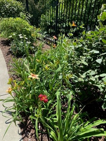 2400 Beacon 102, Boston, MA 02467