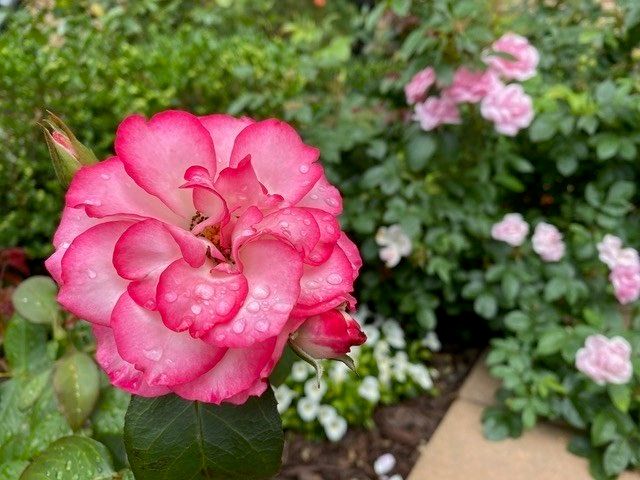 2400 Beacon 102, Boston, MA 02467