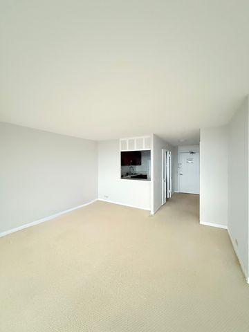 1560 N Sandburg Terrace 3709, Chicago, IL 60610