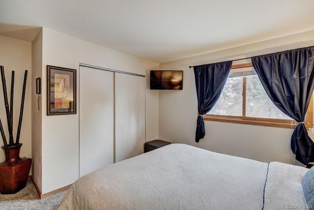 10000 Ryan Gulch Road 109, Silverthorne, CO 80498