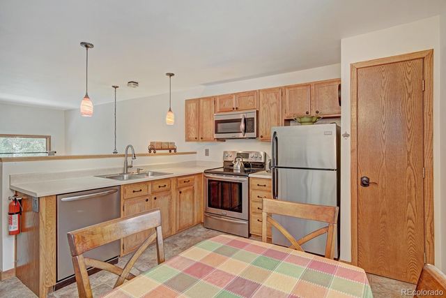 10000 Ryan Gulch Road 109, Silverthorne, CO 80498