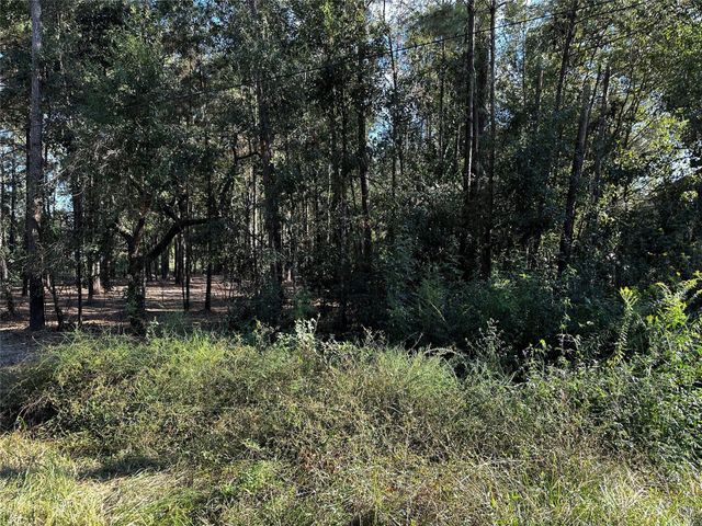 27086 Royal Coach, New Caney, TX 77357