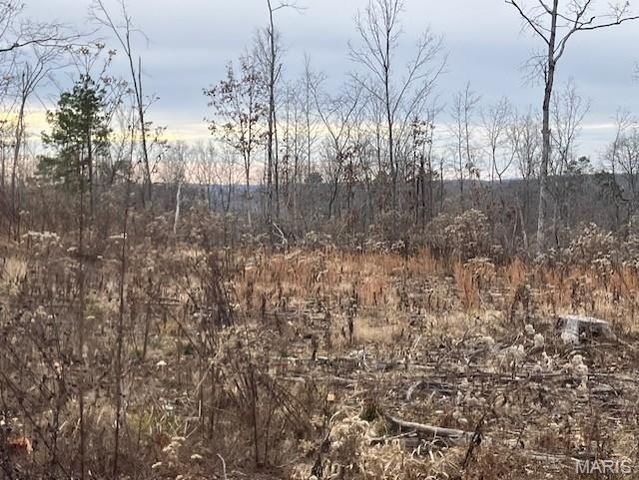 181 Madison CR 410, Fredericktown, MO 63645