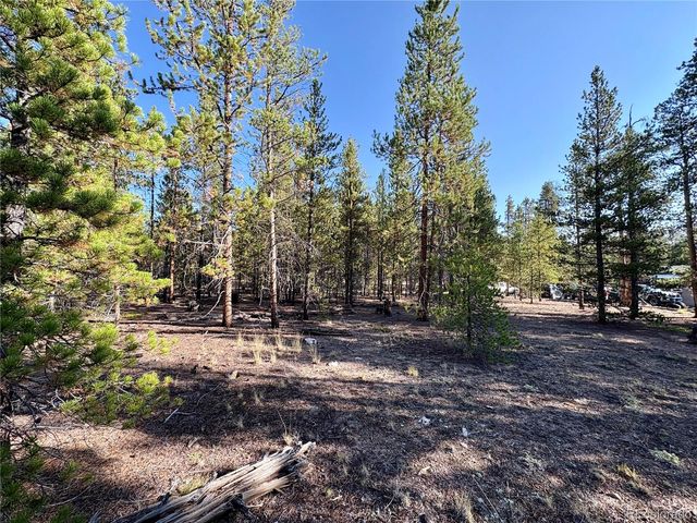 776 Birch Drive, Twin Lakes, CO 80461