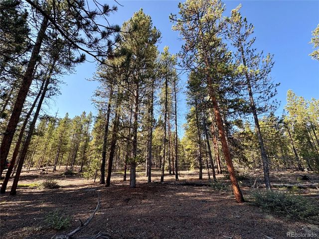 776 Birch Drive, Twin Lakes, CO 80461