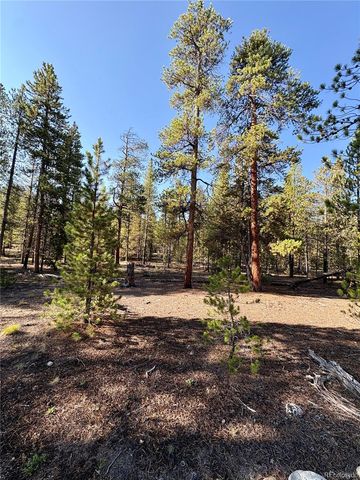 776 Birch Drive, Twin Lakes, CO 80461