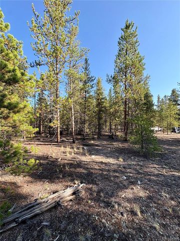 776 Birch Drive, Twin Lakes, CO 80461