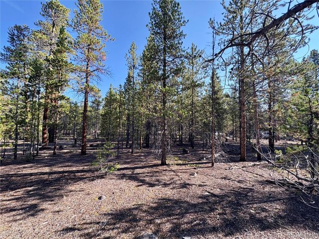 776 Birch Drive, Twin Lakes, CO 80461