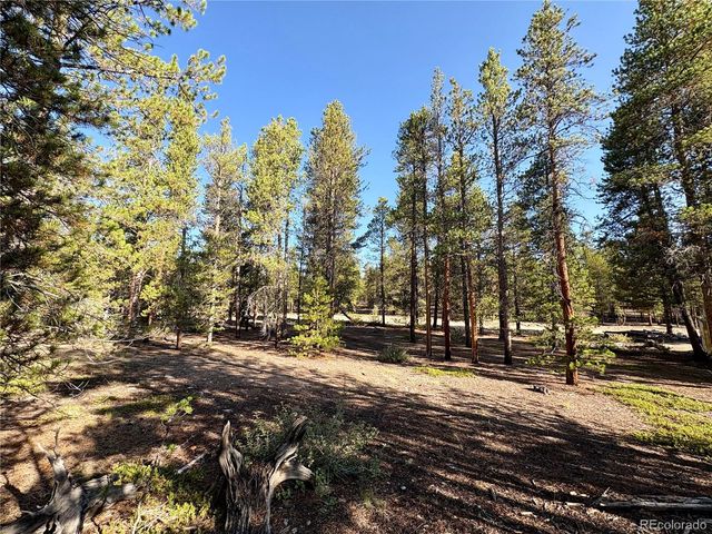776 Birch Drive, Twin Lakes, CO 80461