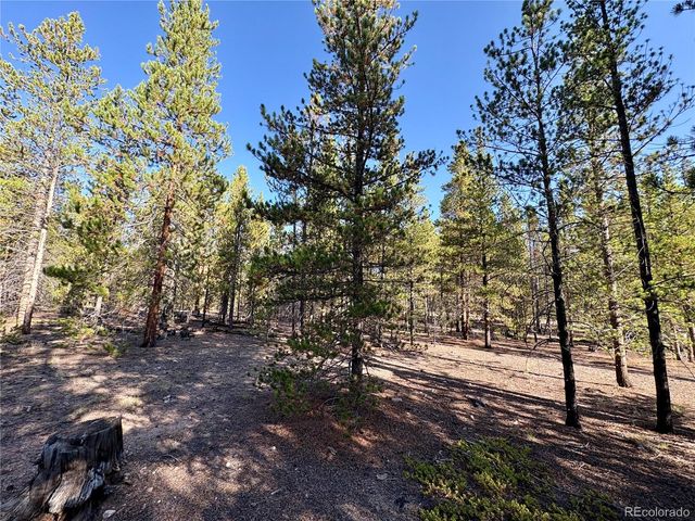 776 Birch Drive, Twin Lakes, CO 80461