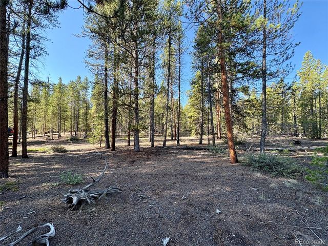 776 Birch Drive, Twin Lakes, CO 80461