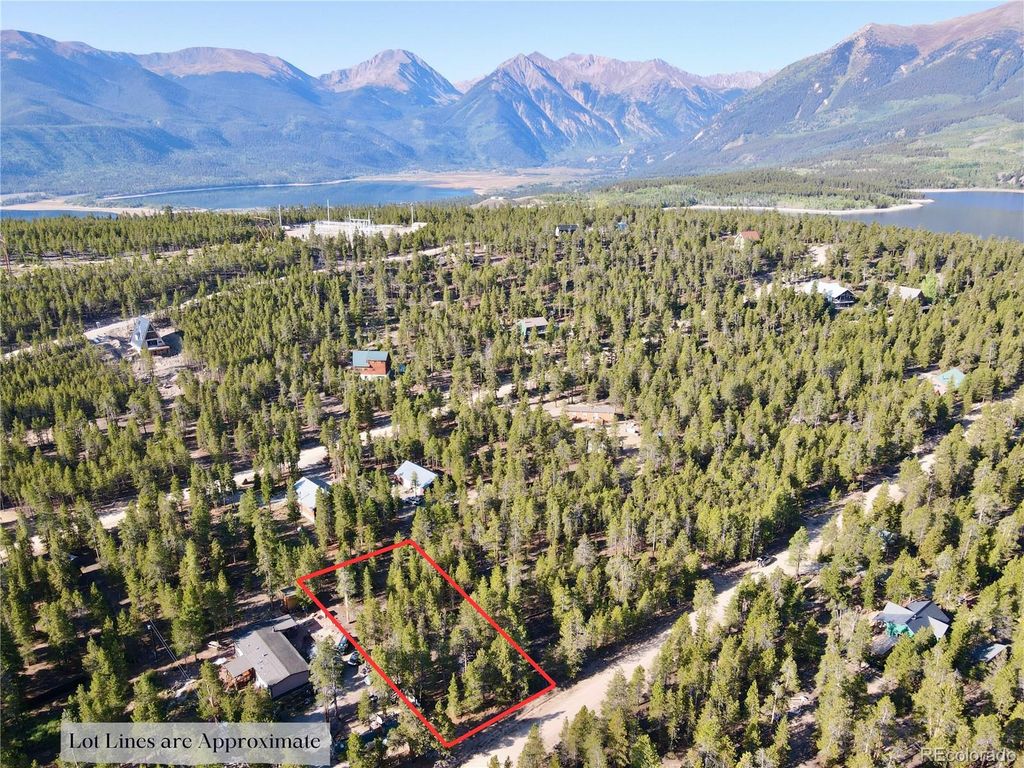 776 Birch Drive, Twin Lakes, CO 80461