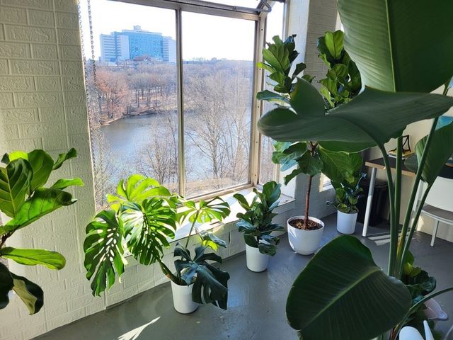 33 Pond Ave. 915, Brookline, MA 02445