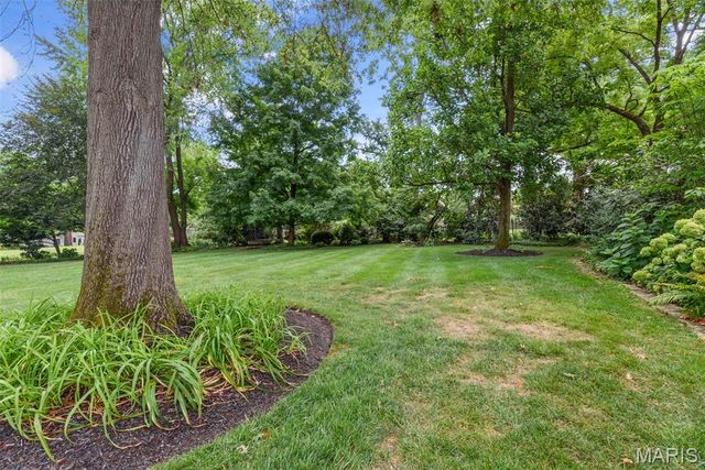 441 Park Road, Webster Groves, MO 63119