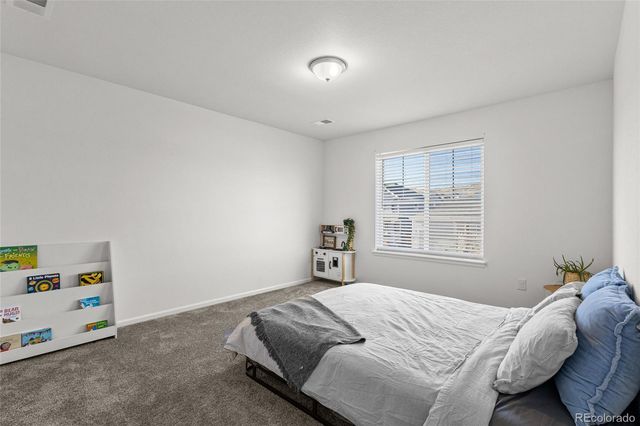 6278 Leilani Lane, Castle Rock, CO 80108