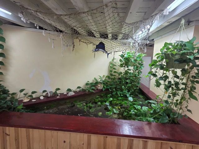 7547 N Rogers Avenue, Chicago, IL 60626