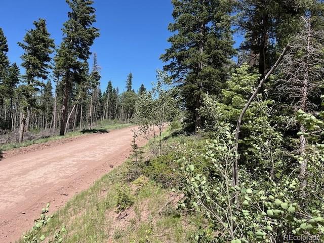 2449 Petito Dr, Fort Garland, CO 81133