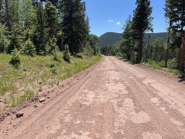 2449 Petito Dr, Fort Garland, CO 81133