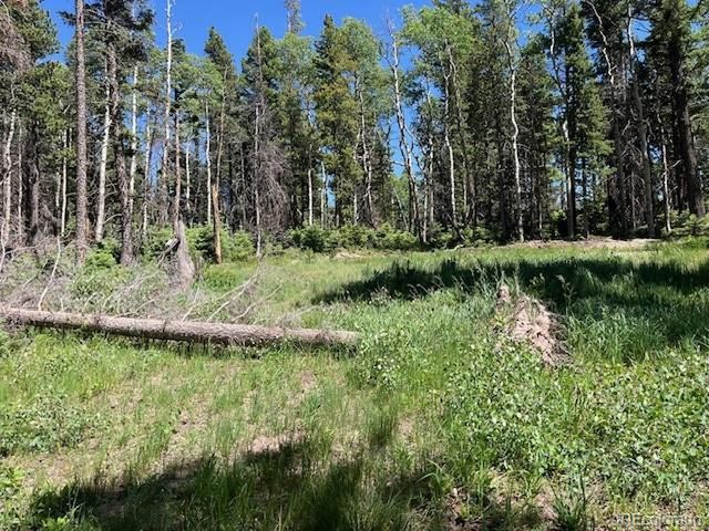 2449 Petito Dr, Fort Garland, CO 81133