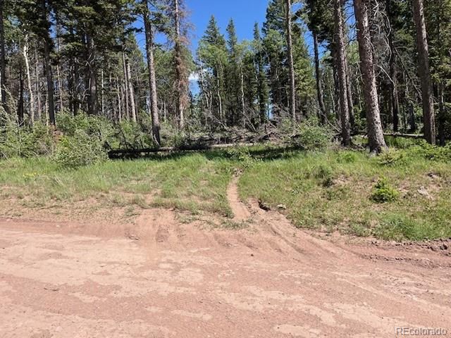 2449 Petito Dr, Fort Garland, CO 81133