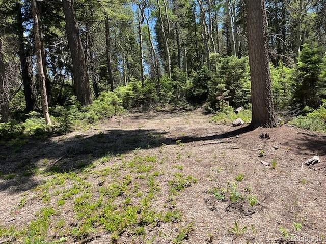 2449 Petito Dr, Fort Garland, CO 81133