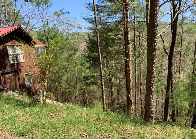 0 Laurel Ridge Drive, Ellijay, GA 30536