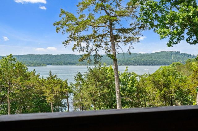 213 Hydes Hollow Lane, Lampe, MO 65681