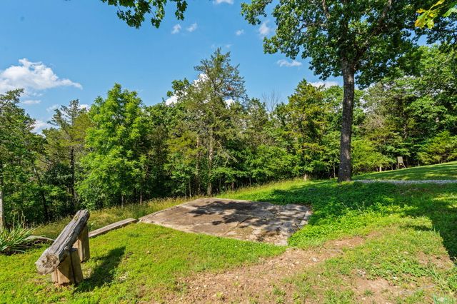 213 Hydes Hollow Lane, Lampe, MO 65681