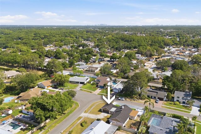 11807 NICKLAUS CIRCLE, Tampa, FL 33624