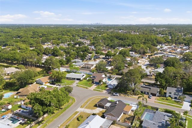 11807 NICKLAUS CIRCLE, Tampa, FL 33624