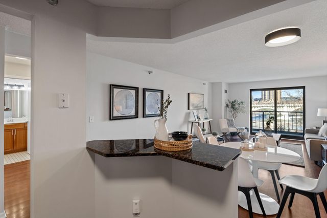 401 S 1st Street 213, Minneapolis, MN 55401