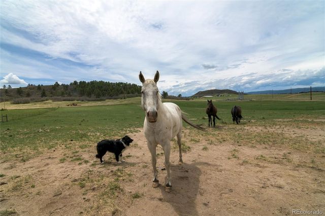 4531 Best Road, Larkspur, CO 80118