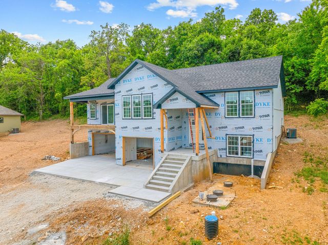 186 Jacks Hollow Road, Walnut Shade, MO 65771