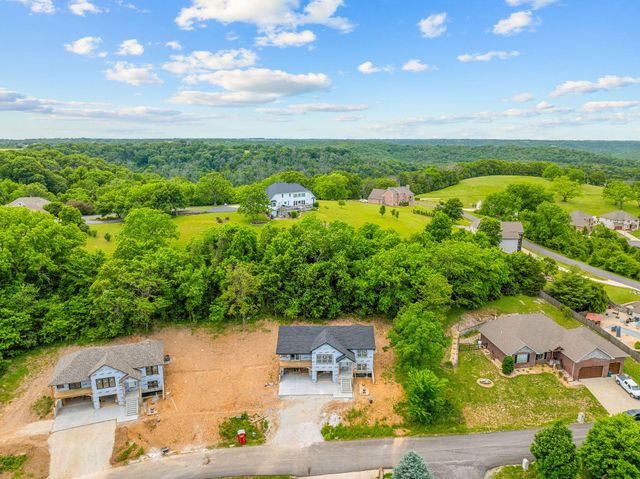 186 Jacks Hollow Road, Walnut Shade, MO 65771
