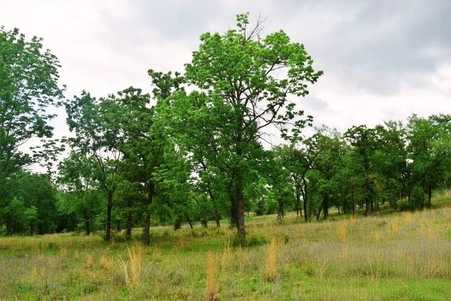 TBD Fcr 421 W, Buffalo, TX 75831
