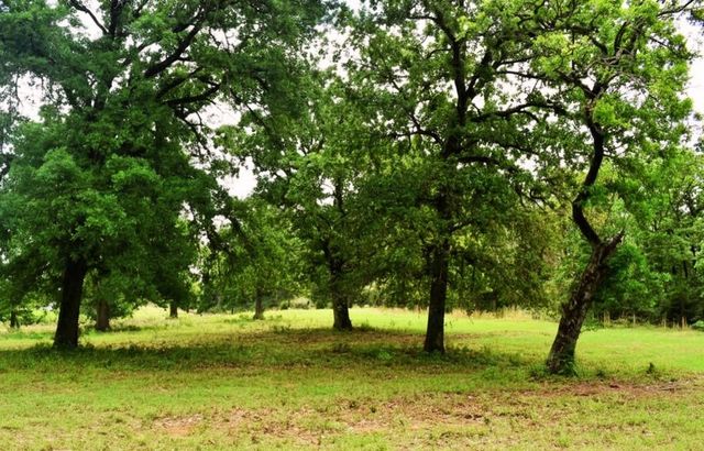 TBD Fcr 421 W, Buffalo, TX 75831