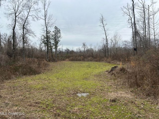 Campbell Swamp Road, Vicksburg, MS 39180